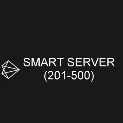 Smart Server (201-500)